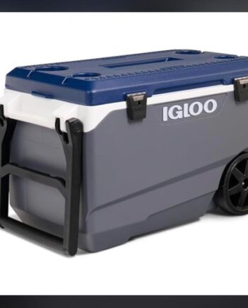 Igloo Cooler